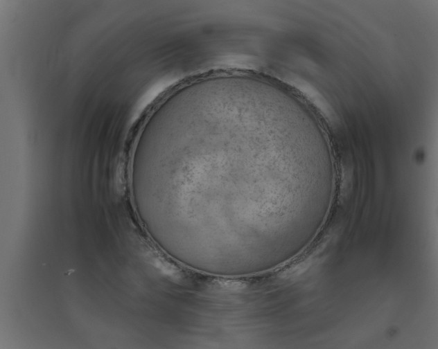 X0000094800878200711241421