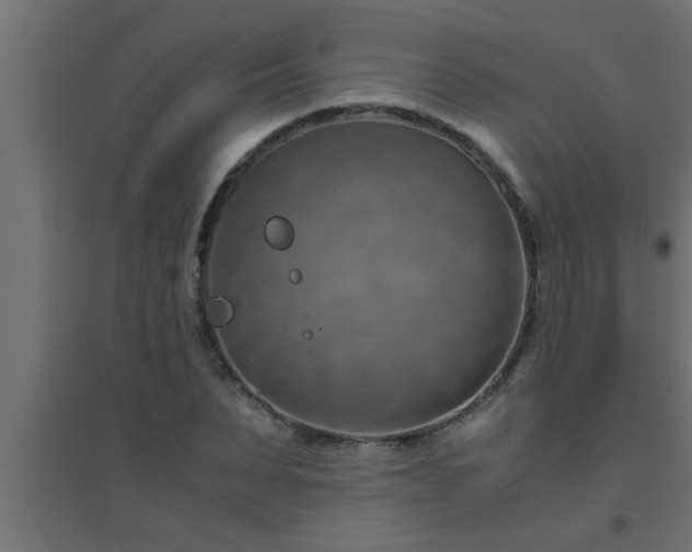 X0000094800879200711241421