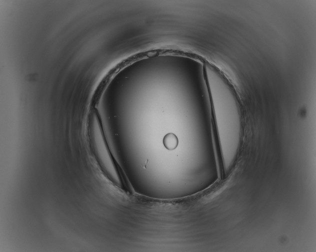 X0000094800880200711241421
