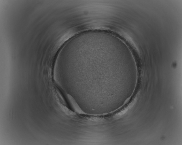 X0000094800881200711241421