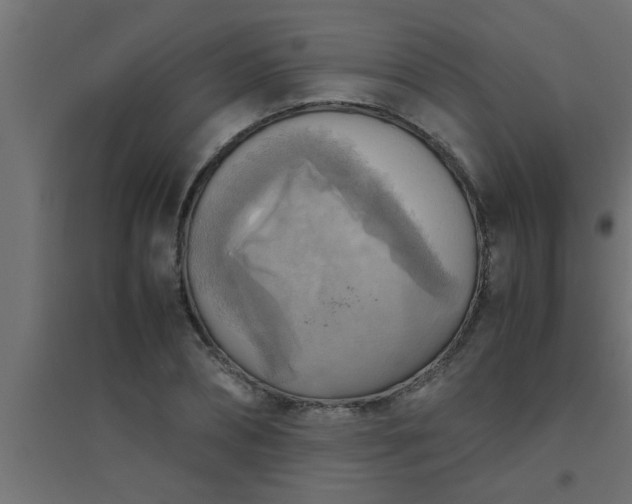 X0000094800882200711241421