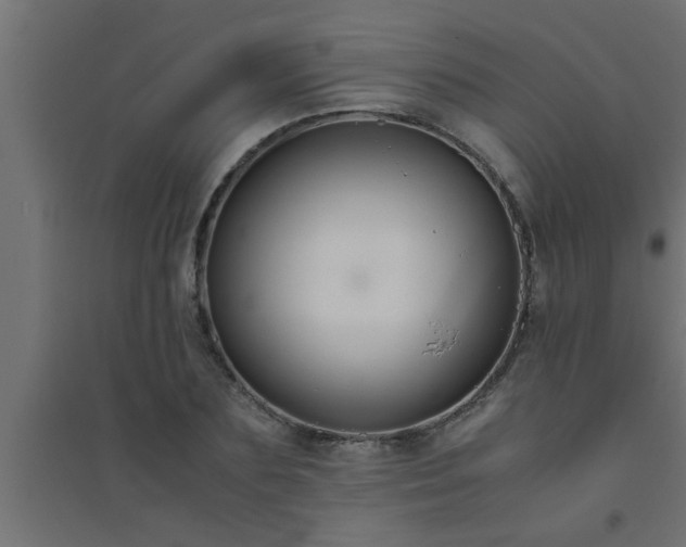 X0000094800883200711241421