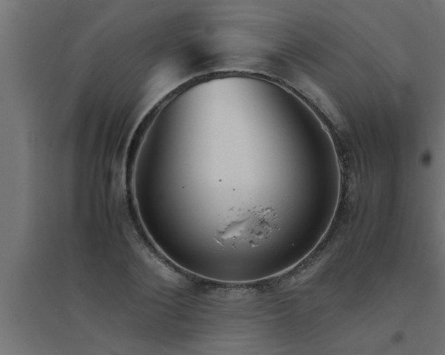 X0000094800884200711241421