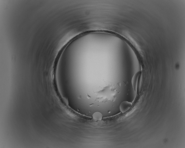 X0000094800885200711241421