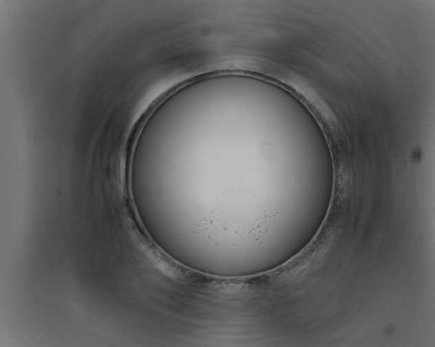 X0000094800886200711241421