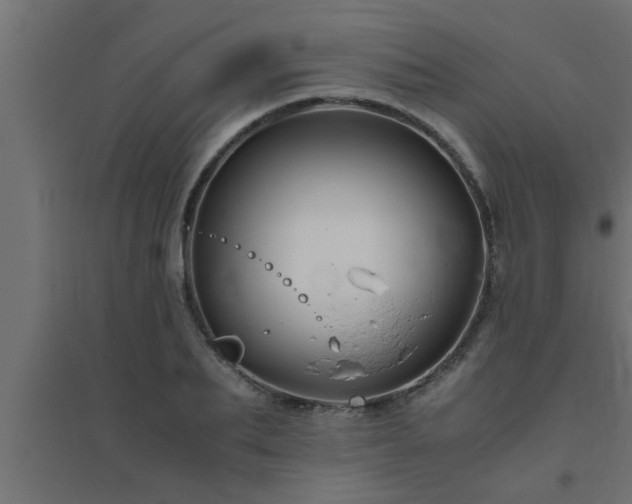 X0000094800887200711241421