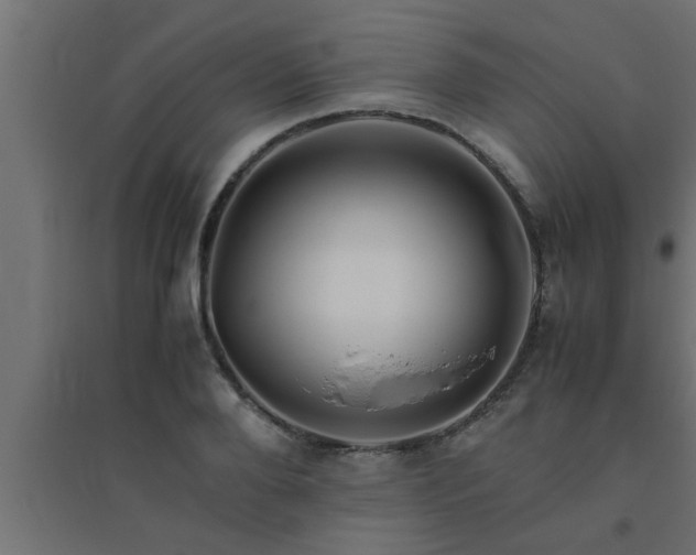 X0000094800888200711241421