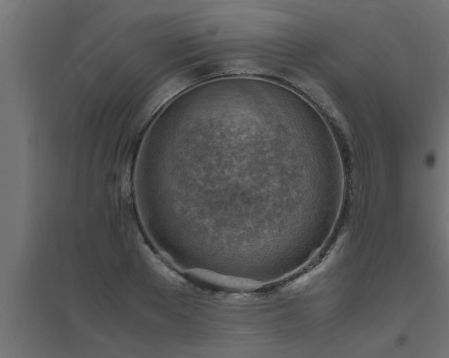 X0000094800889200711241421