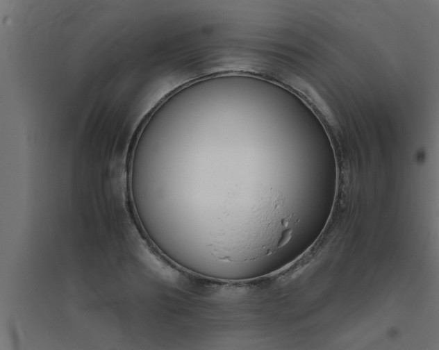 X0000094800890200711241421