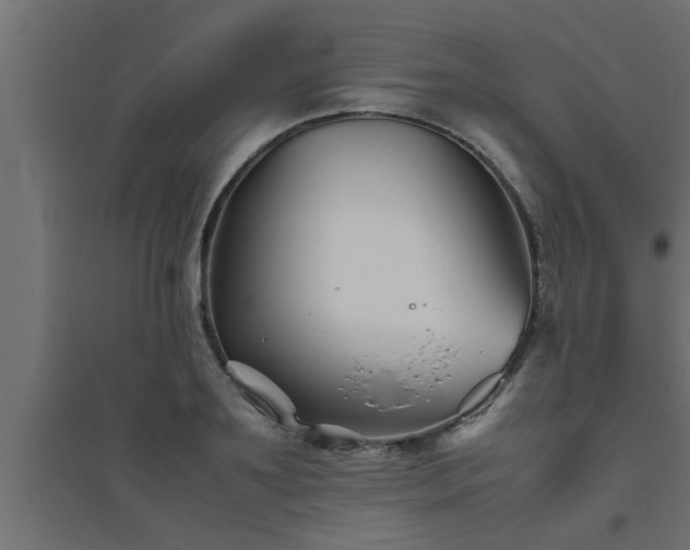 X0000094800891200711241421