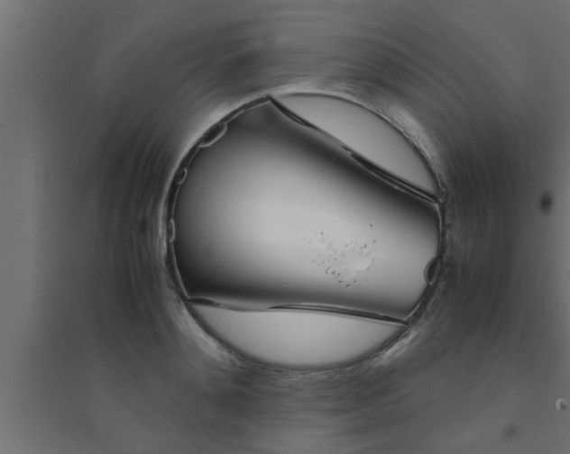 X0000094800892200711241421