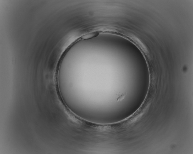 X0000094800893200711241421