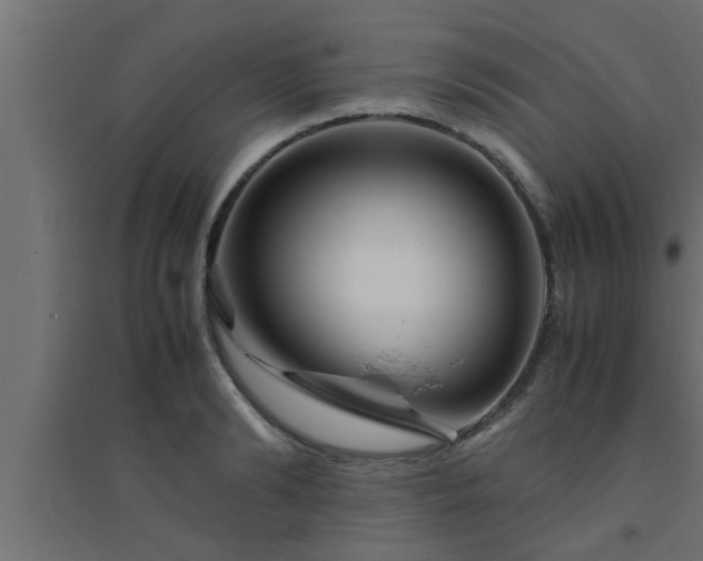 X0000094800894200711241421