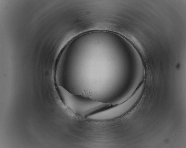 X0000094800896200711241421