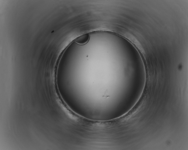 X0000094800898200711241421