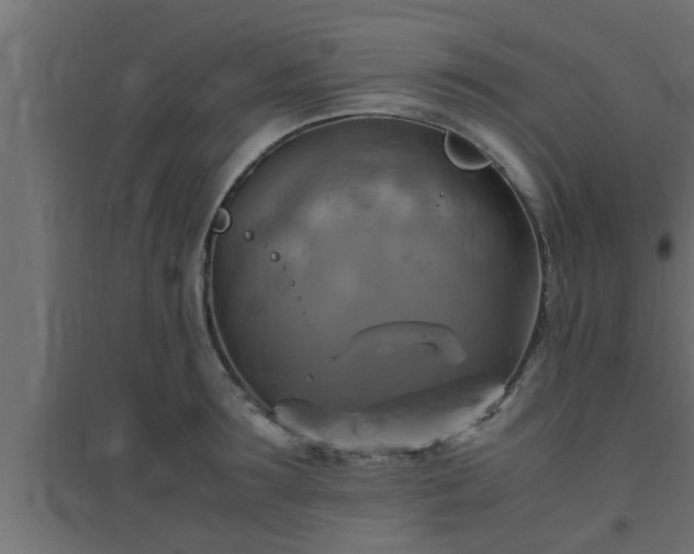 X0000094800899200711241421