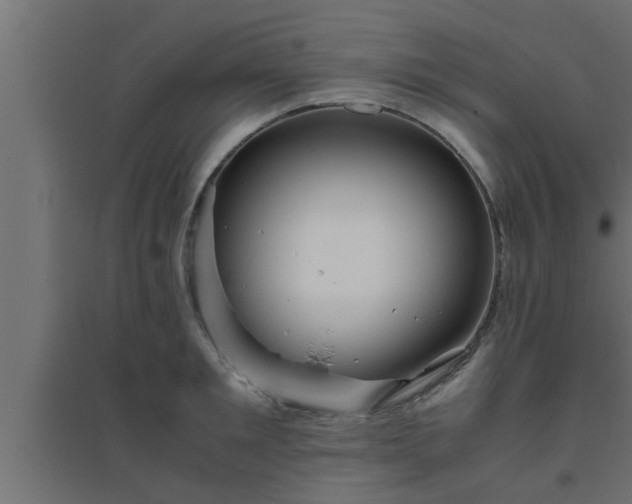 X0000094800901200711241421
