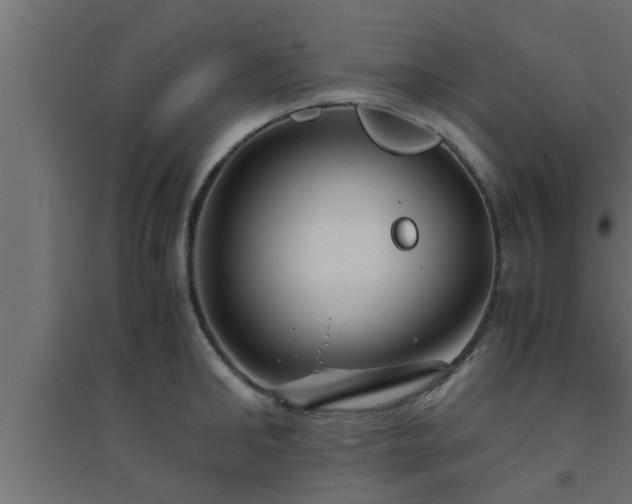 X0000094800902200711241421