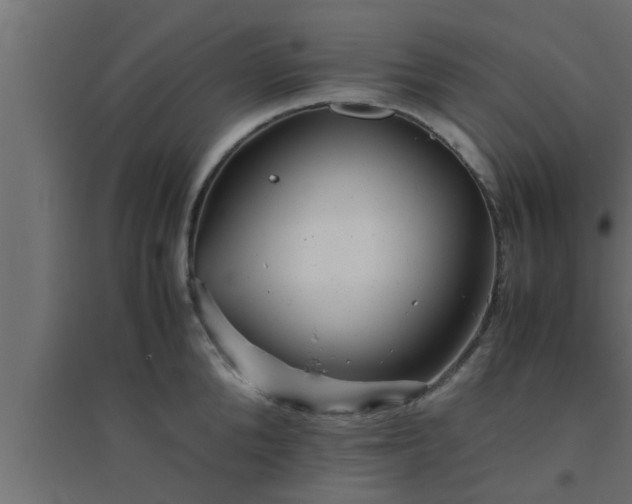 X0000094800904200711241421