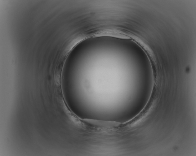 X0000094800905200711241421