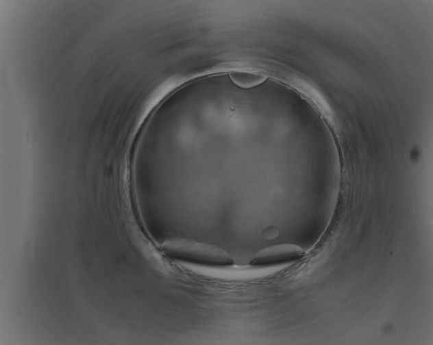 X0000094800907200711241421