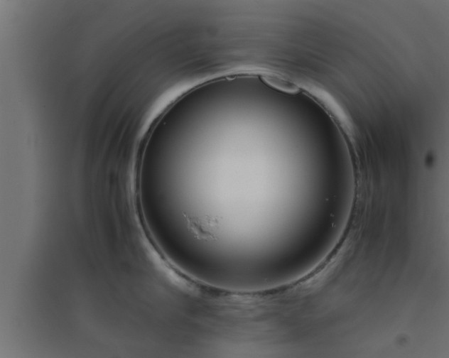 X0000094800910200711241421