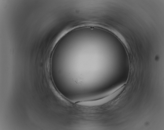 X0000094800911200711241421