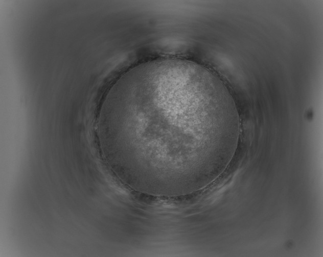 X0000094800913200711241420
