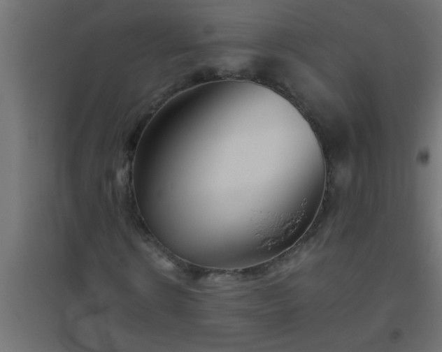 X0000094800914200711241420