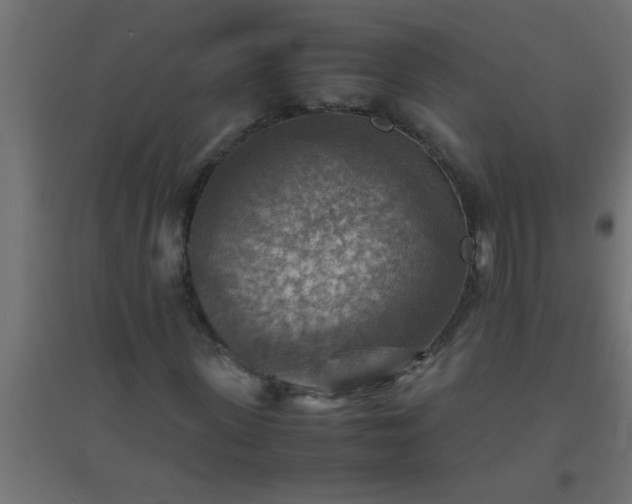 X0000094800915200711241420