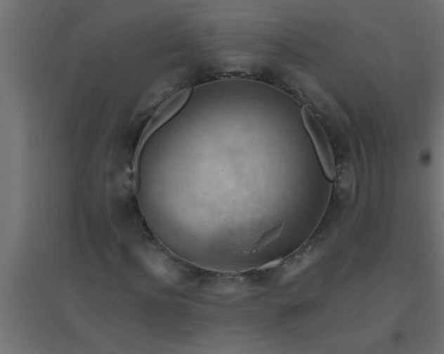 X0000094800916200711241420