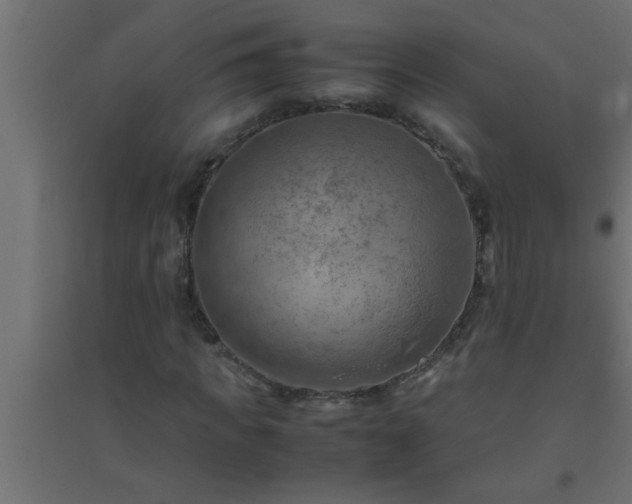 X0000094800917200711241420