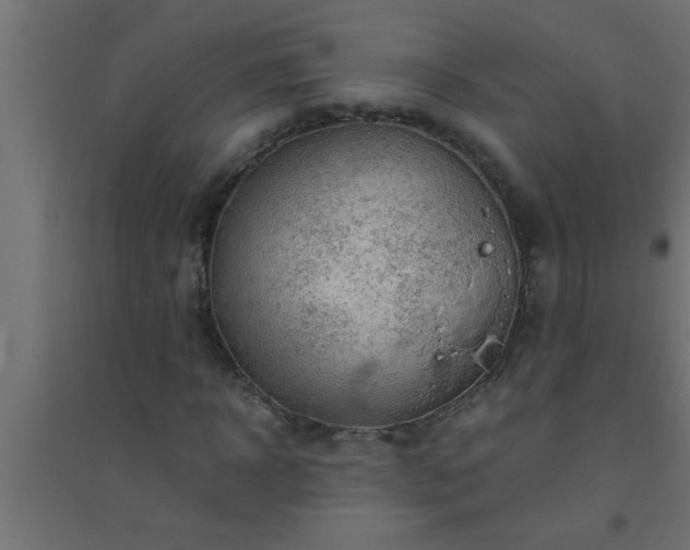 X0000094800918200711241420