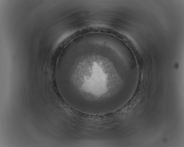 X0000094800919200711241420