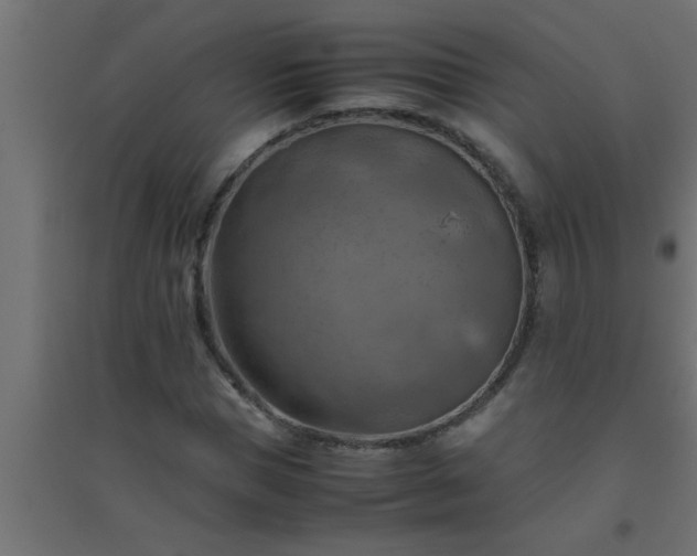 X0000094800921200711241420