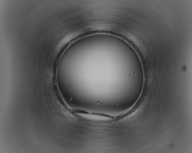 X0000094800922200711241420