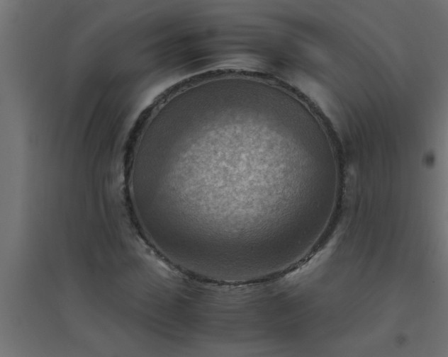 X0000094800923200711241420