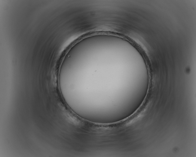 X0000094800925200711241420