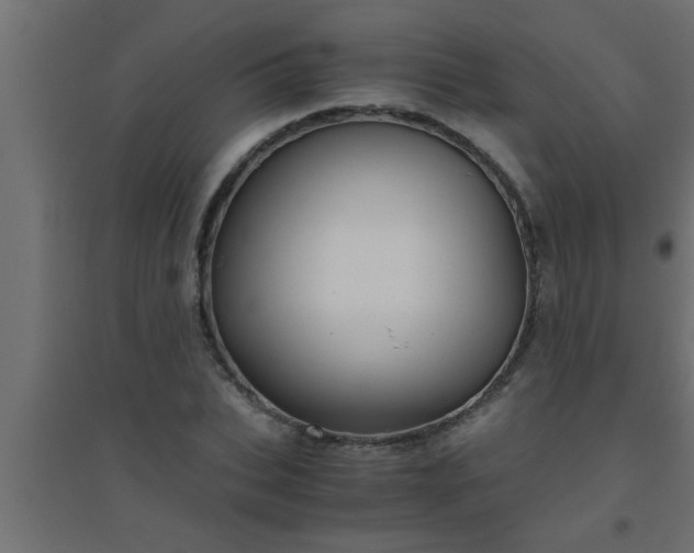 X0000094800927200711241420