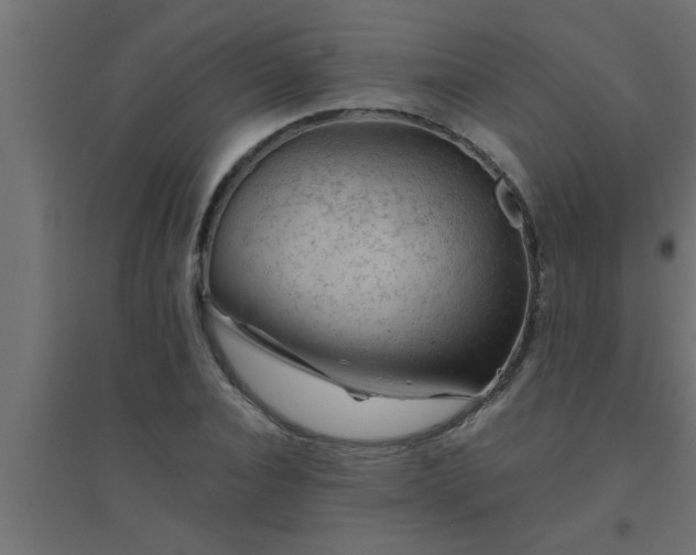 X0000094800928200711241420