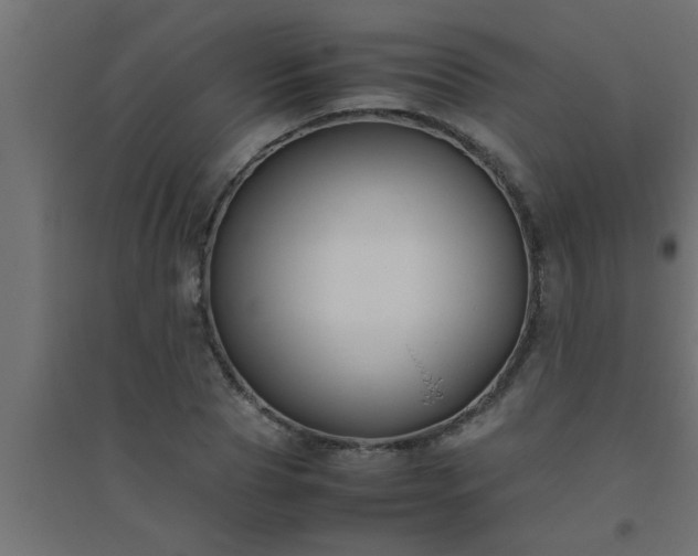 X0000094800929200711241420