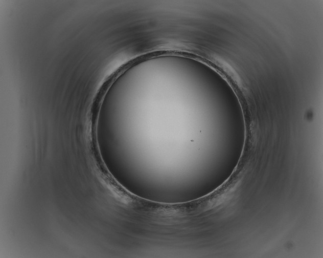 X0000094800931200711241421