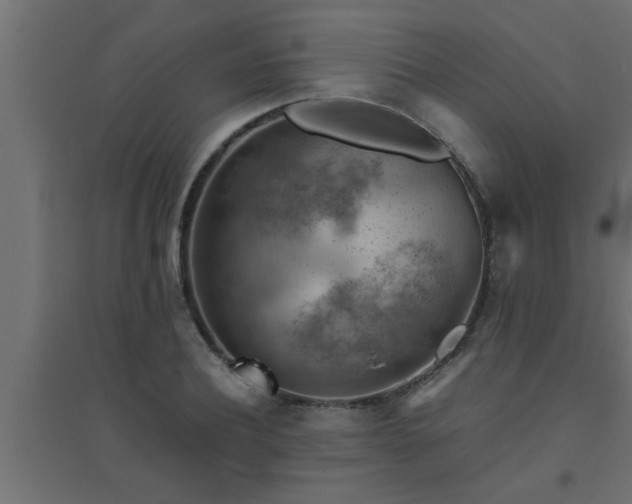 X0000094800932200711241421