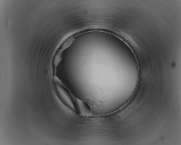X0000094800934200711241421
