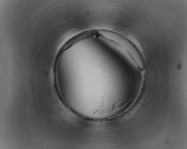 X0000094800936200711241421