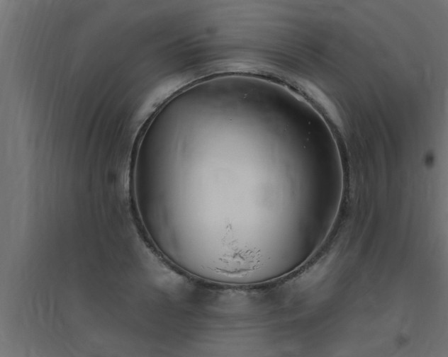 X0000094800938200711241421