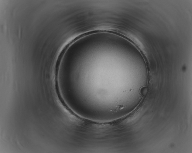 X0000094800939200711241421