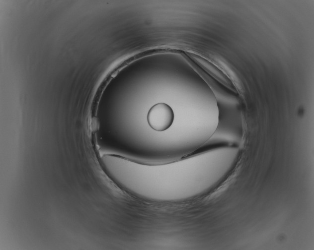 X0000094800940200711241421