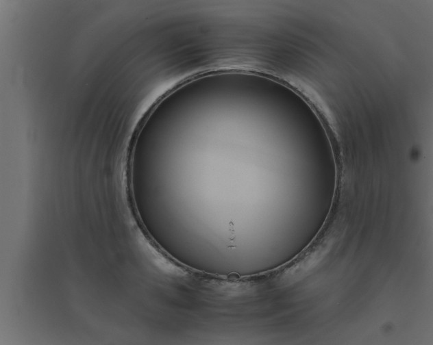 X0000094800941200711241421