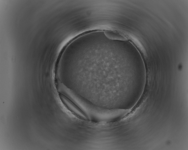 X0000094800944200711241421